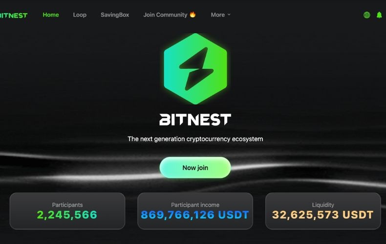 bitnest-avis